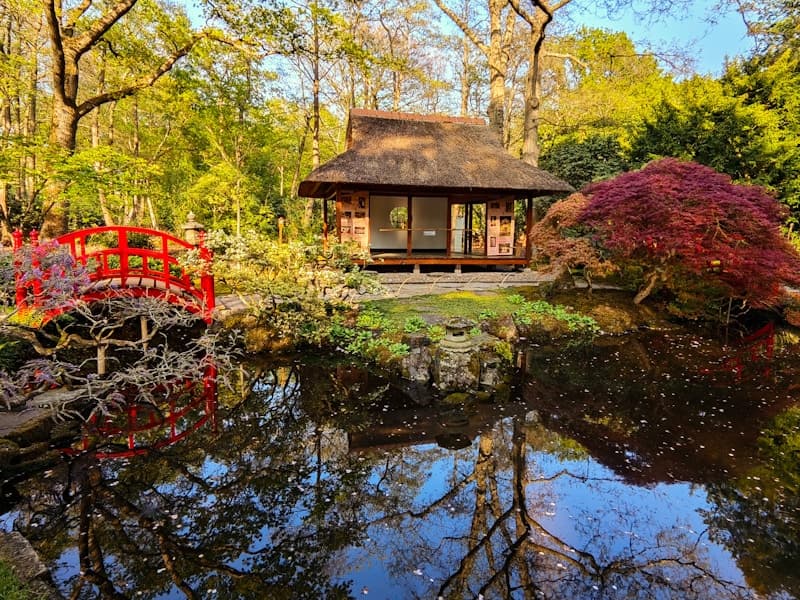 おひとりさま・独身者の終活ガイド【身寄りがなくても安心】