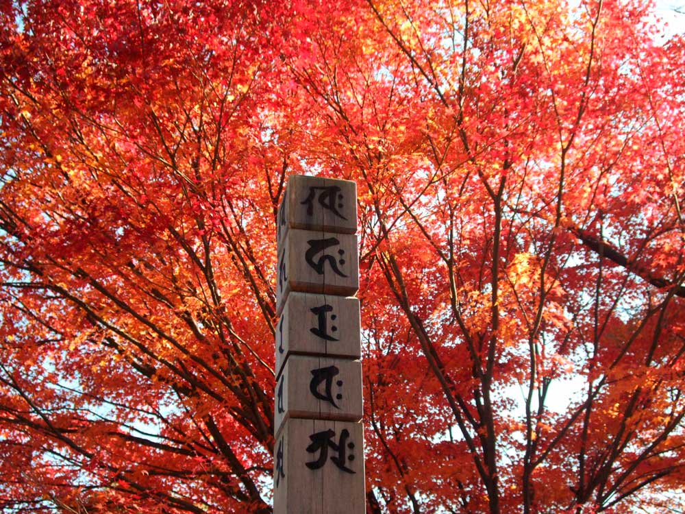 位牌に梵字は必要？